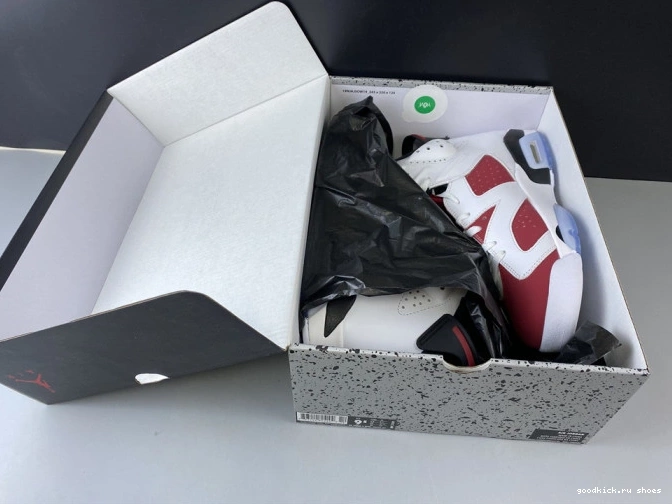 Rep RETRO 6 AIR 384664-160 2014 'CARMINE' JORDAN 0729